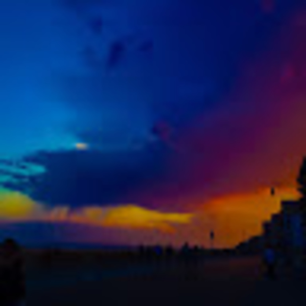 Meet your Posher, Dahlia